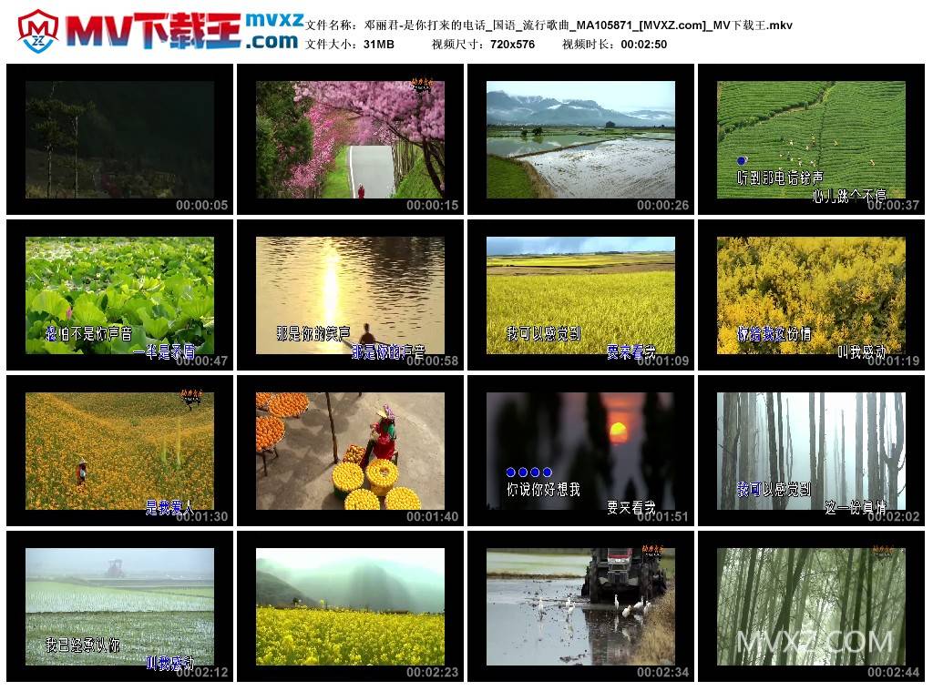 邓丽君-是你打来的电话_国语_流行歌曲_MA105871